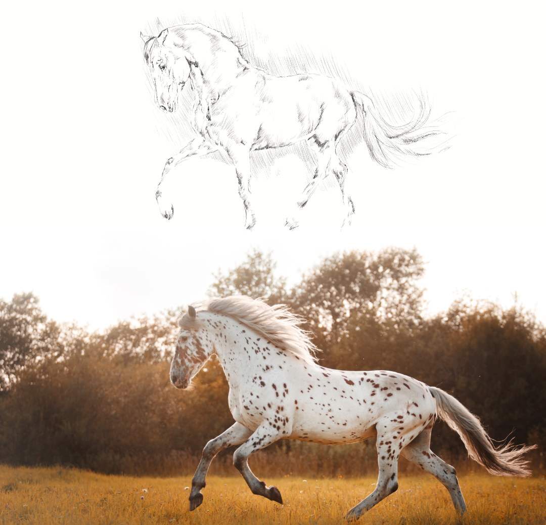 Sketched drawing of a horse into an AI gen image